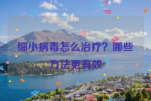 细小病毒怎么治疗？哪些方法更有效