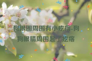 狗眼圈周围有小疙瘩-狗狗眼睛周围起了疙瘩