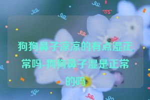 狗狗鼻子凉凉的有点湿正常吗-狗狗鼻子湿是正常的吗