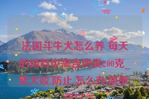 法国斗牛犬怎么养 每天的饲料中需含肉类200克_柴犬咬,防止,怎么办,简单,可以