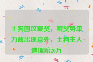 土狗围攻藏獒，藏獒势单力薄出现意外，土狗主人遭理赔20万