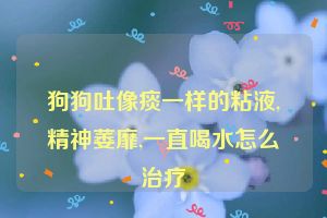 狗狗吐像痰一样的粘液,精神萎靡,一直喝水怎么治疗