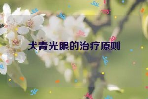 犬青光眼的治疗原则