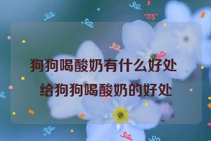 狗狗喝酸奶有什么好处 给狗狗喝酸奶的好处