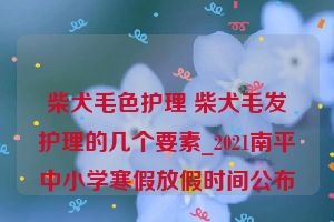 柴犬毛色护理 柴犬毛发护理的几个要素_2021南平中小学寒假放假时间公布