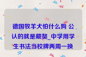 德国牧羊犬怕什么狗 公认的就是藏獒_中学用学生书法当校牌两周一换