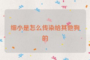 细小是怎么传染给其他狗的