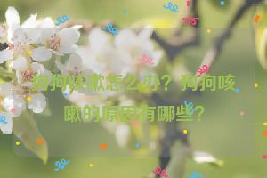 狗狗咳嗽怎么办？狗狗咳嗽的原因有哪些？