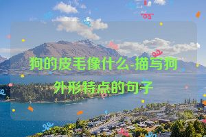 狗的皮毛像什么-描写狗外形特点的句子