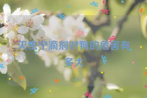 灭虫宁滴剂对狗的危害有多大
