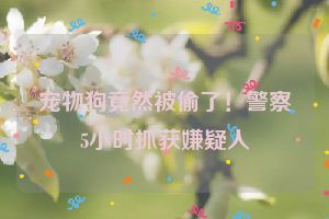 宠物狗竟然被偷了！警察5小时抓获嫌疑人