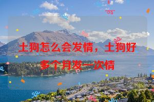 土狗怎么会发情，土狗好多个月发一次情