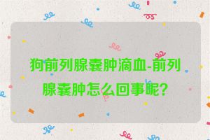 狗前列腺囊肿滴血-前列腺囊肿怎么回事呢？