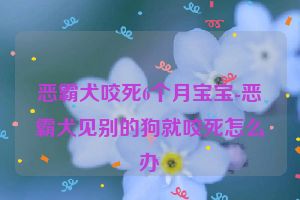 恶霸犬咬死6个月宝宝-恶霸犬见别的狗就咬死怎么办