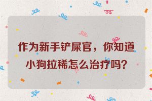 作为新手铲屎官，你知道小狗拉稀怎么治疗吗？