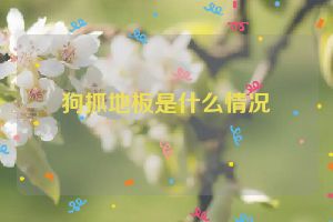 狗抓地板是什么情况