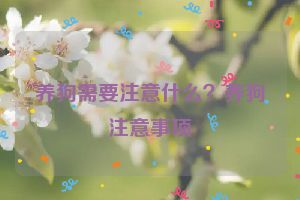 养狗需要注意什么？养狗注意事项