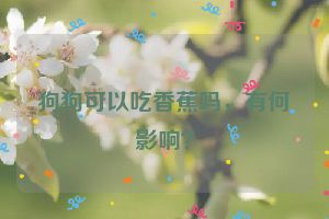 狗狗可以吃香蕉吗，有何影响？