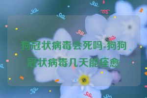 狗冠状病毒会死吗-狗狗冠状病毒几天能痊愈