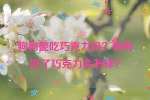 狗狗能吃巧克力吗？狗狗吃了巧克力会怎样？