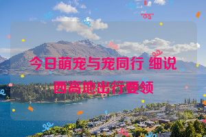 今日萌宠与宠同行 细说西高地出行要领