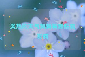 炎热的天气狗狗有哪些易发病