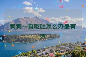 狗狗一直呕吐怎么办最有效