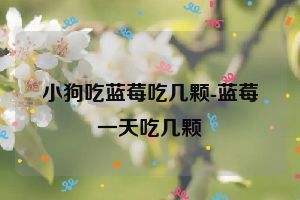 小狗吃蓝莓吃几颗-蓝莓一天吃几颗