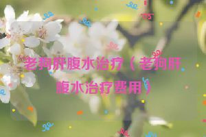 老狗肝腹水治疗（老狗肝腹水治疗费用）