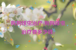 狗狗球虫治疗(狗狗球虫治疗要多少钱)