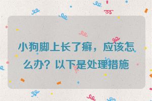 小狗脚上长了癣,应该怎么办?以下是处理措施