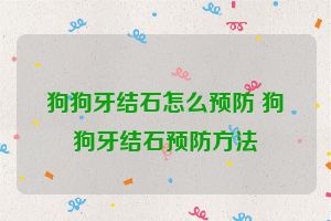 狗狗牙结石怎么预防 狗狗牙结石预防方法