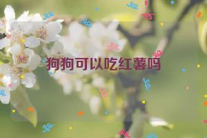 狗狗可以吃红薯吗