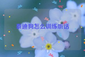 泰迪狗怎么训练听话