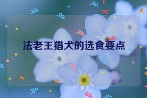 法老王猎犬的选食要点