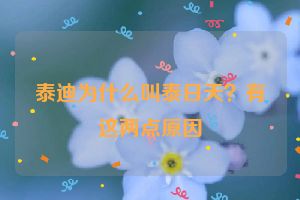 泰迪为什么叫泰日天？有这两点原因