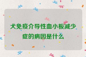 犬免疫介导性血小板减少症的病因是什么