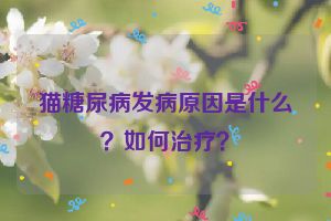 猫糖尿病发病原因是什么？如何治疗？