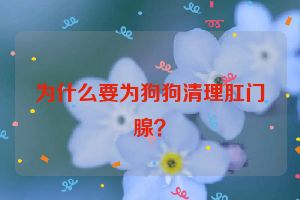 为什么要为狗狗清理肛门腺？