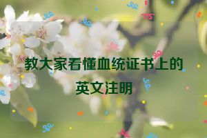 教大家看懂血统证书上的英文注明