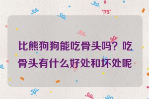 比熊狗狗能吃骨头吗？吃骨头有什么好处和坏处呢