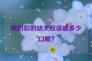 断奶后的幼犬应该喂多少口粮？