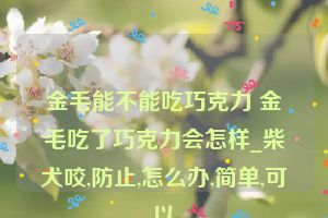 金毛能不能吃巧克力 金毛吃了巧克力会怎样_柴犬咬,防止,怎么办,简单,可以