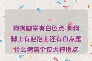 狗狗脚掌有白色点-狗狗脚上有泡泡上还有白点是什么病请个位大神指点