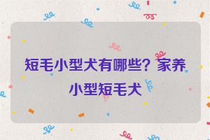 短毛小型犬有哪些？家养小型短毛犬