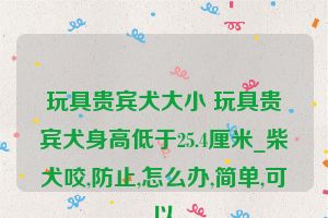 玩具贵宾犬大小 玩具贵宾犬身高低于25.4厘米_柴犬咬,防止,怎么办,简单,可以