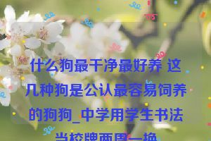 什么狗最干净最好养 这几种狗是公认最容易饲养的狗狗_中学用学生书法当校牌两周一换