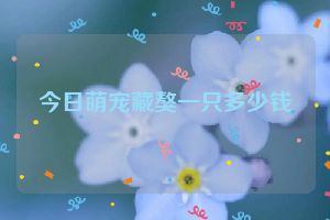 今日萌宠藏獒一只多少钱