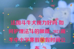 法国斗牛犬视力好吗 如何护理法斗的眼睛_2021南平中小学寒假放假时间公布