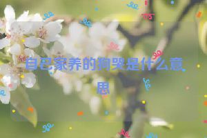 自己家养的狗哭是什么意思